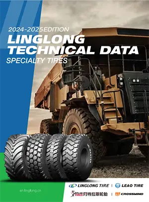 2025 Speciale bandencatalogus